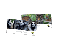 zoopostcards